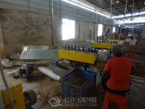 信宜市竹发制品厂 传统工艺与现代科技融合的典范